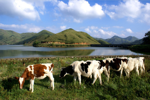 茅坪湖