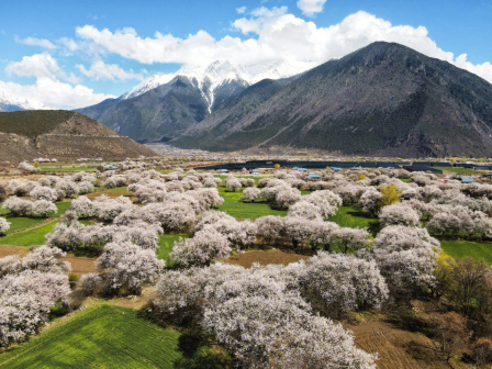 林芝市风光