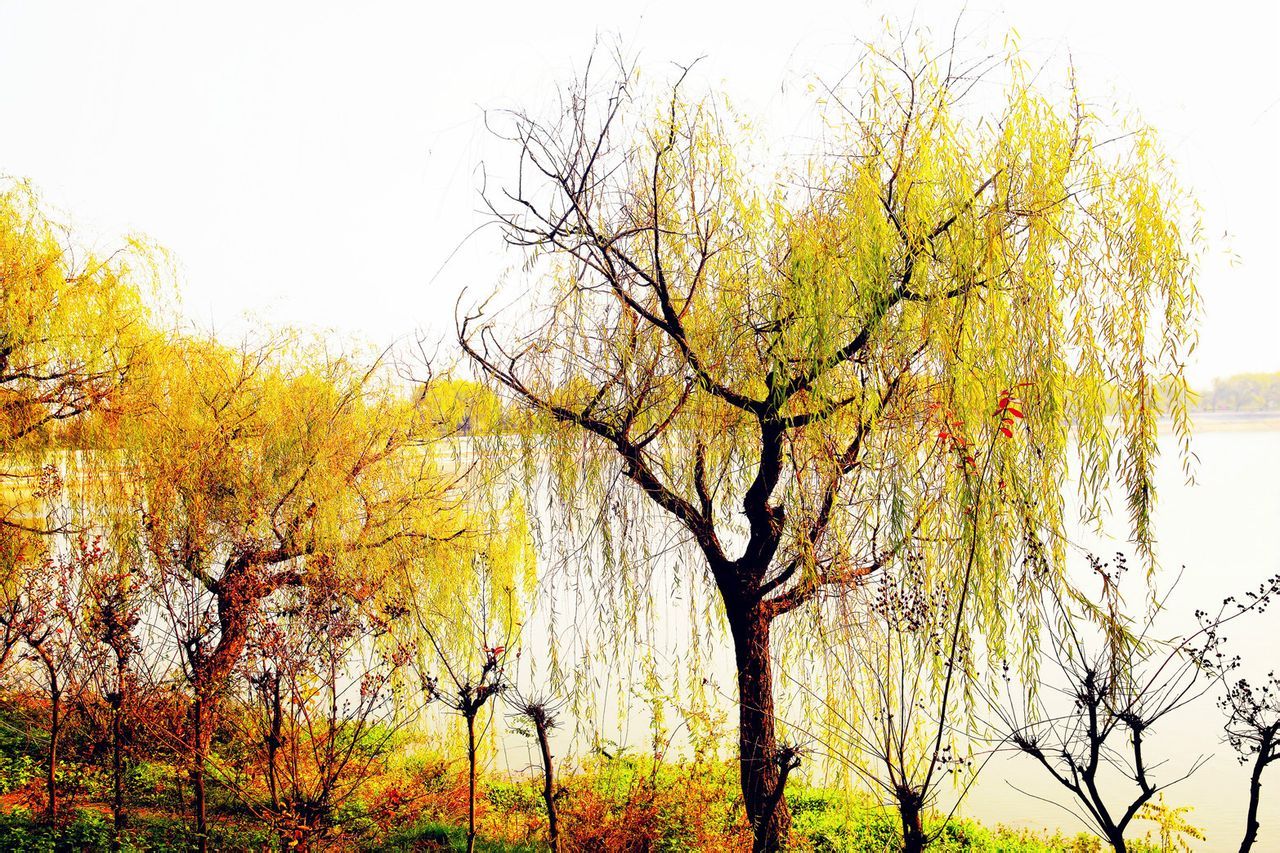 艾山胜景