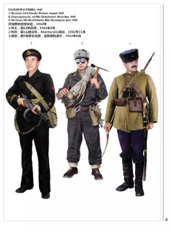 高加索和克里米亚,1942年