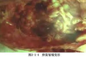 图9