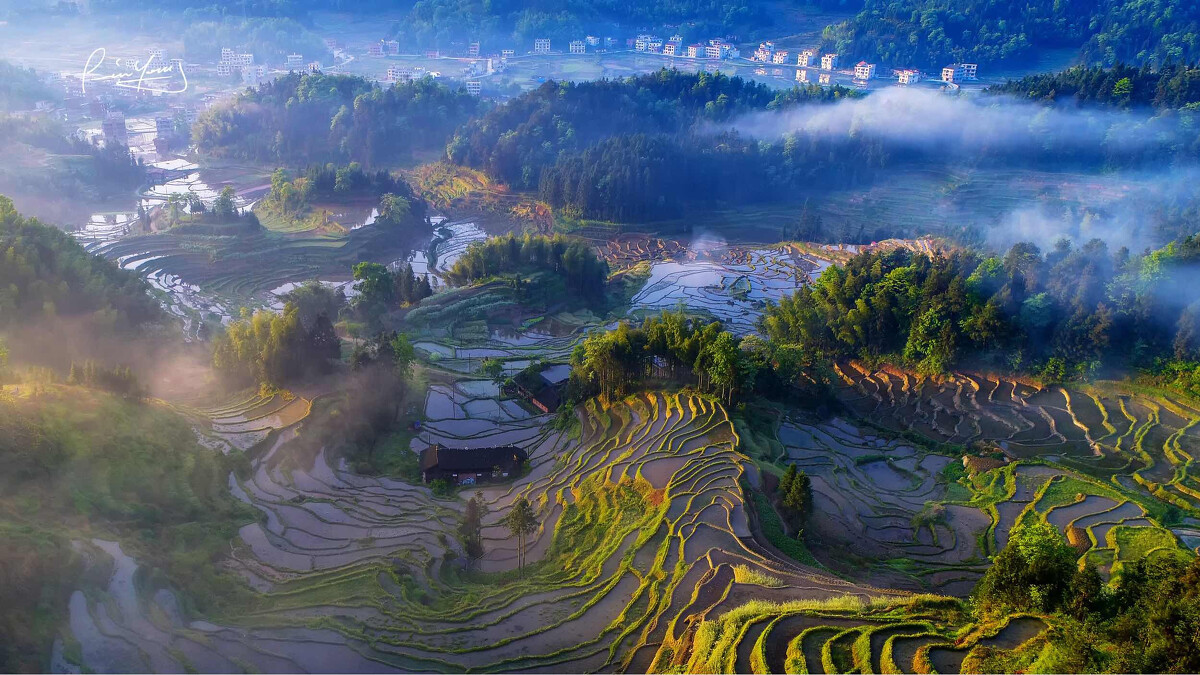 紫鹊界去梯田