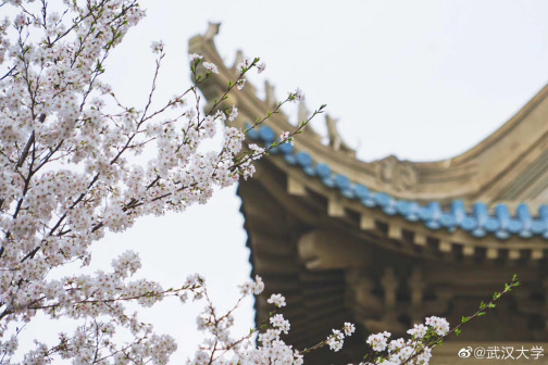武大美景