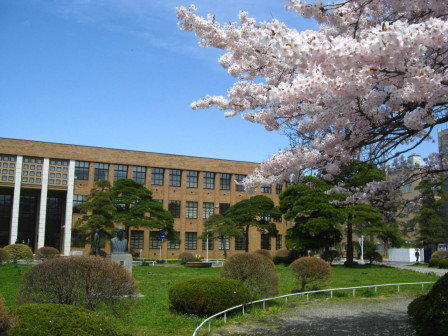 东北大学