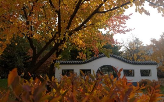 吉林大学