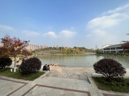 黄花公园