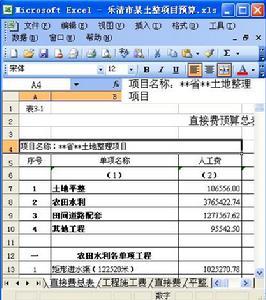 项目预算