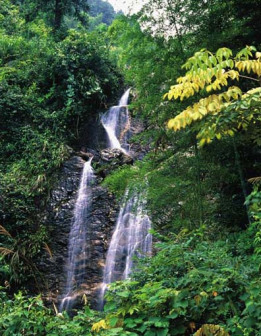 四明山长龙江大峡谷