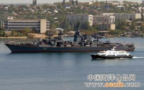 黑海舰队