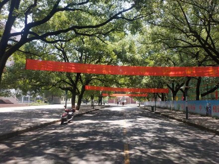 衡南一中校园大道