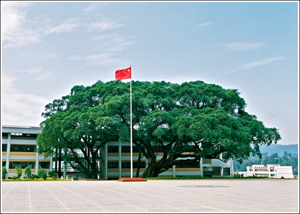 同心广场