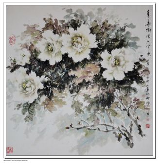 PeonySea 牡丹海 王少非 作品