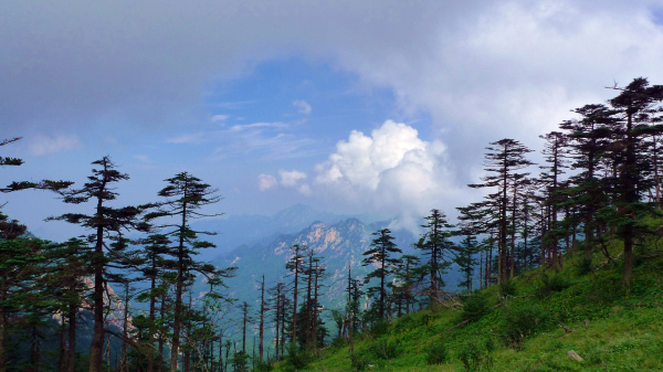 鄠邑区