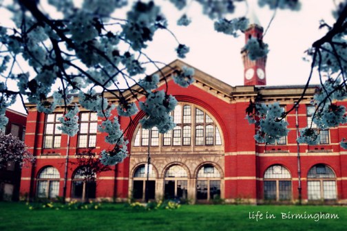 伯明翰大学校园风光