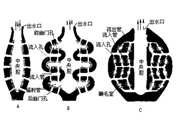 水沟系分类