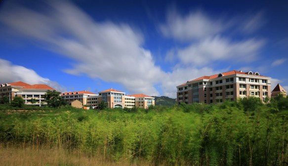 夏日校园