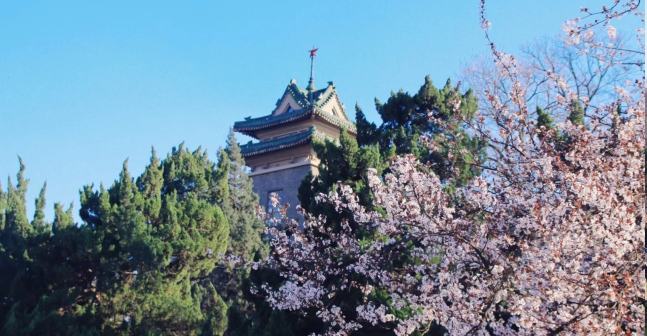 主楼风景