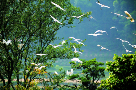 朝阳湖