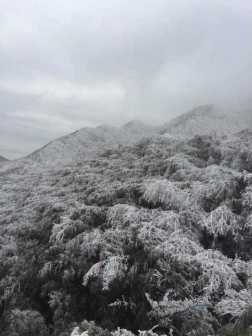 雪中金童山
