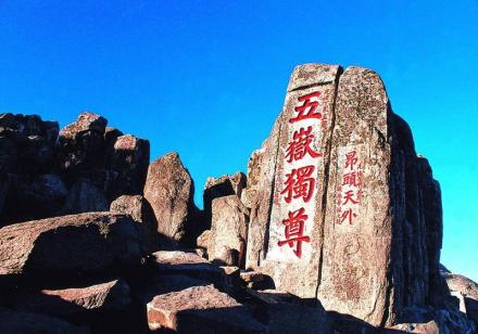 五傲独尊