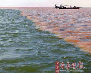 黄河入海口
