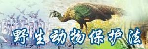 野生动物保护法