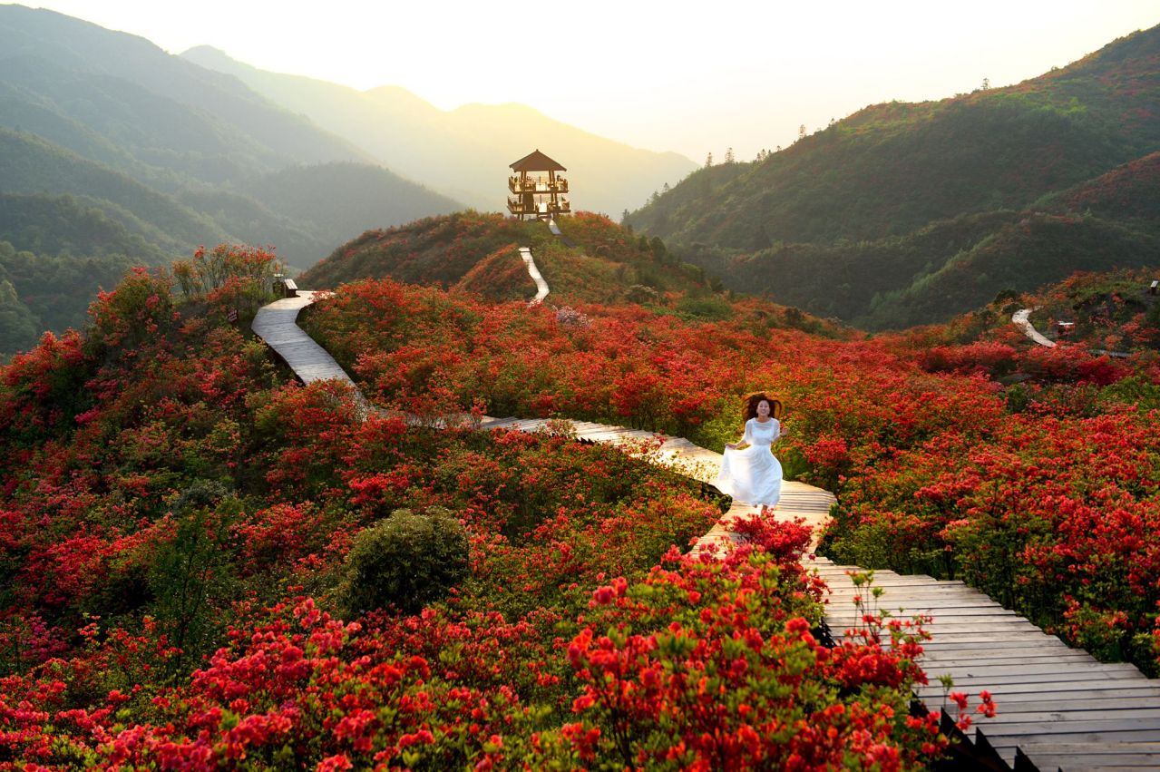 大围山国家森林公园
