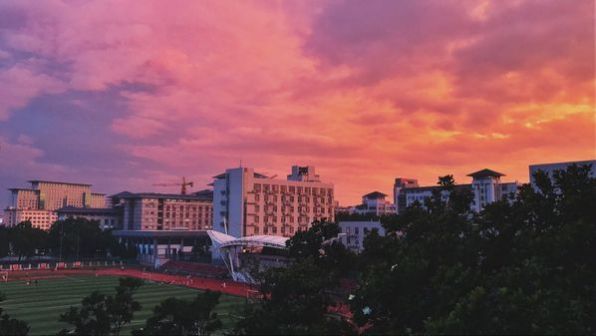 南京农业大学