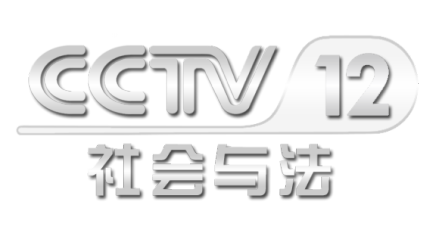 中央电视台社会与法频道台标