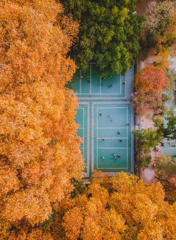 武大美景