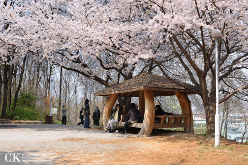 KAIST