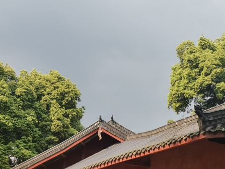 飞泉寺及寺内石刻和寺外楠木林
