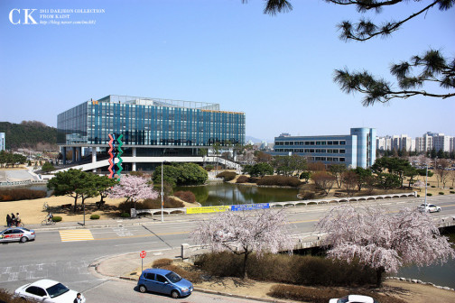 KAIST