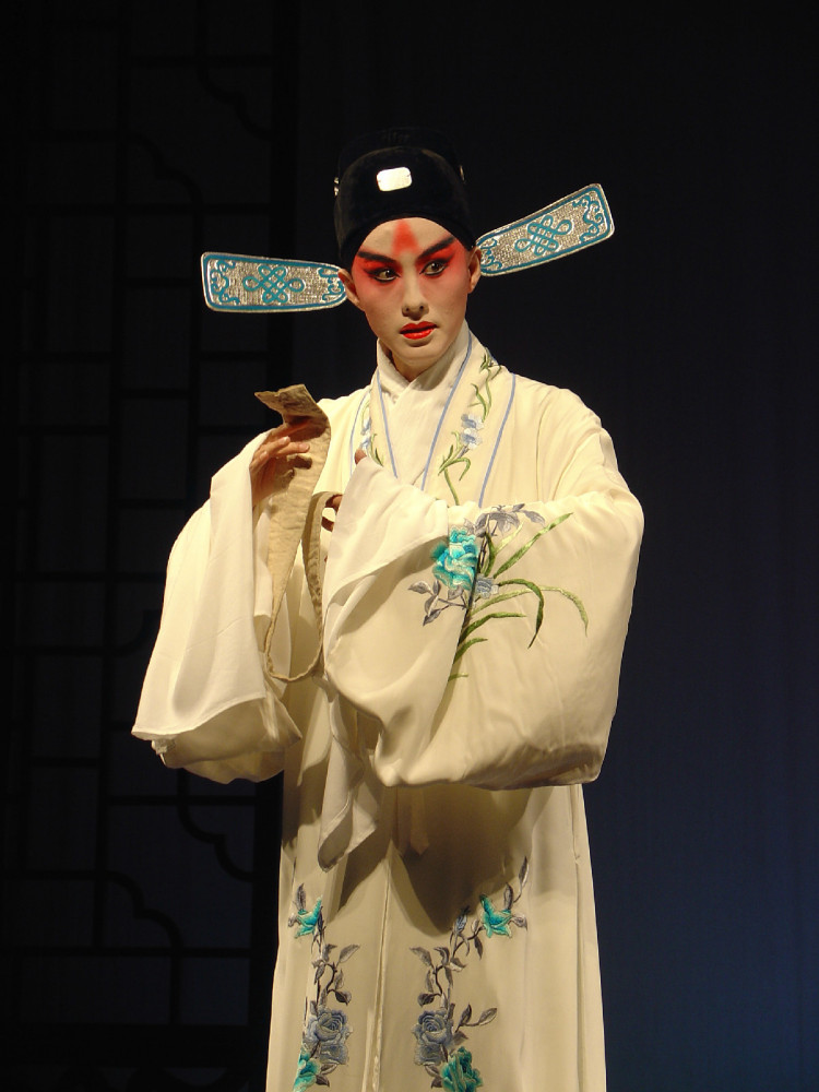《白罗衫·看状》，施夏明饰徐继祖