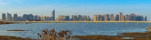 龙子湖大桥