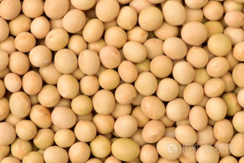 大豆