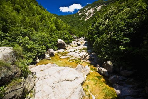 黄山景观