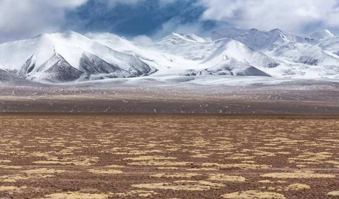 祁连山区哈拉湖盆地中的荒漠植被