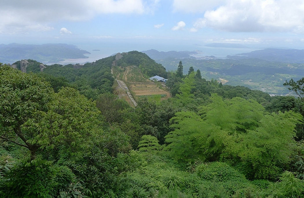 太姥山区的茶园