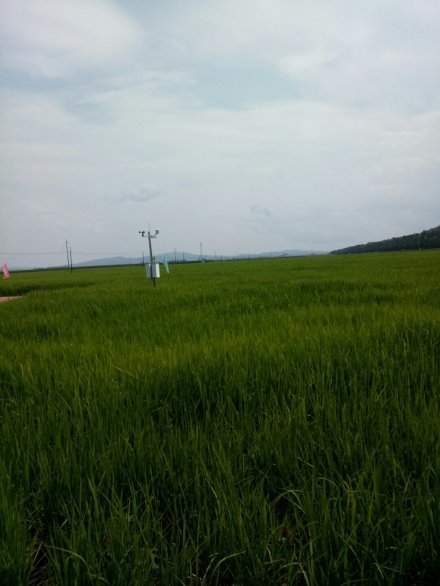 经济图
