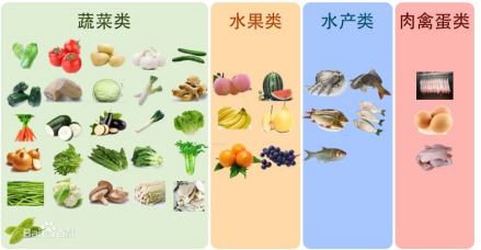 指数品种