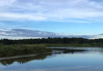 风景