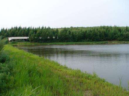达连河镇风景