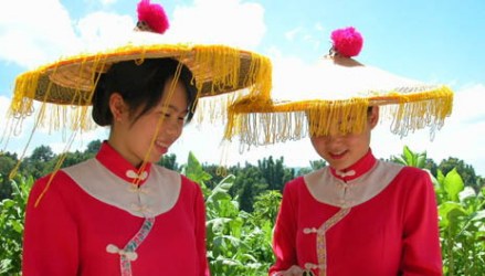 花竹帽