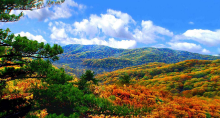 乌龙国家森林公园