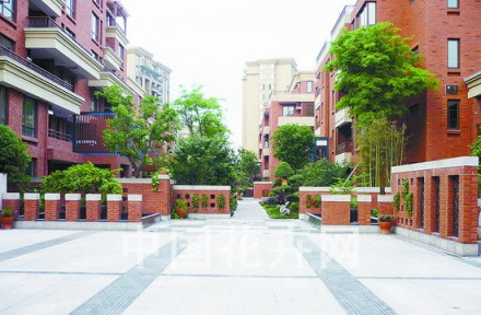 金都街道环境