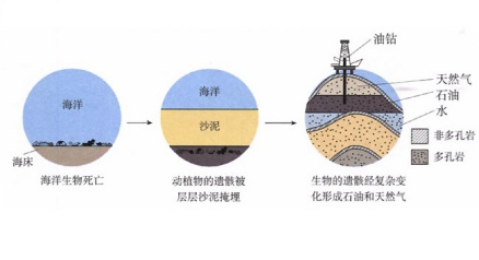 石油和天然气的形成示意图