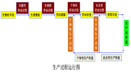 生产过程运行图