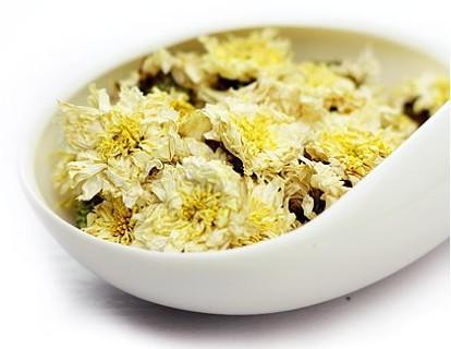 徽州贡菊