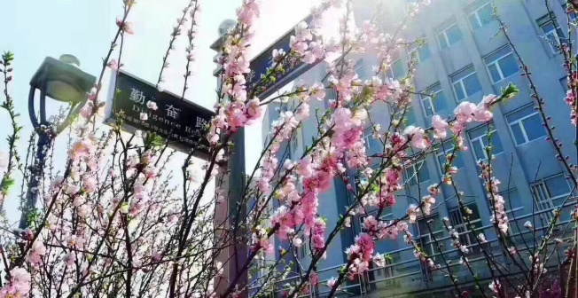 哈尔滨城市职业学院校园景色